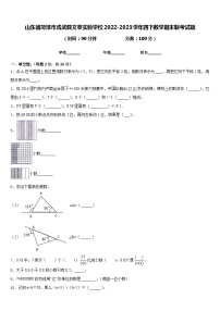 山东省菏泽市成武县文亭实验学校2022-2023学年四下数学期末联考试题含答案