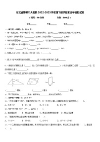 河北省邯郸市大名县2022-2023学年四下数学期末统考模拟试题含答案