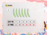 人教版二年级上册数学 第四单元  第7课时  6的乘法口诀课件PPT