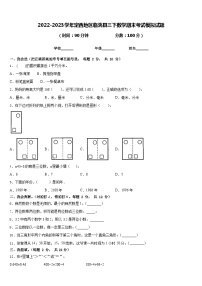 2022-2023学年定西地区临洮县三下数学期末考试模拟试题含答案