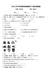 2022-2023学年宜春市靖安县数学三下期末经典试题含答案