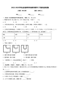 2022-2023学年山东省潍坊市高密市数学三下期末监测试题含答案