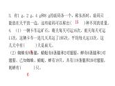 小学毕业数学总复习专题十一数学广角综合训练教学课件