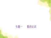 小学毕业数学总复习专题一数的认识专题一数的认识教学课件