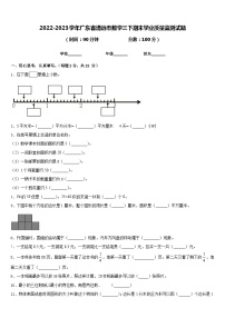 2022-2023学年广东省清远市数学三下期末学业质量监测试题含答案