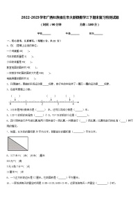 2022-2023学年广西壮族崇左市大新县数学三下期末复习检测试题含答案