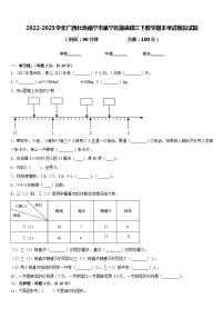 2022-2023学年广西壮族南宁市邕宁区蒲庙镇三下数学期末考试模拟试题含答案