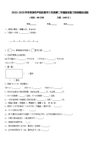 2022-2023学年株洲市芦淞区数学三年级第二学期期末复习检测模拟试题含答案