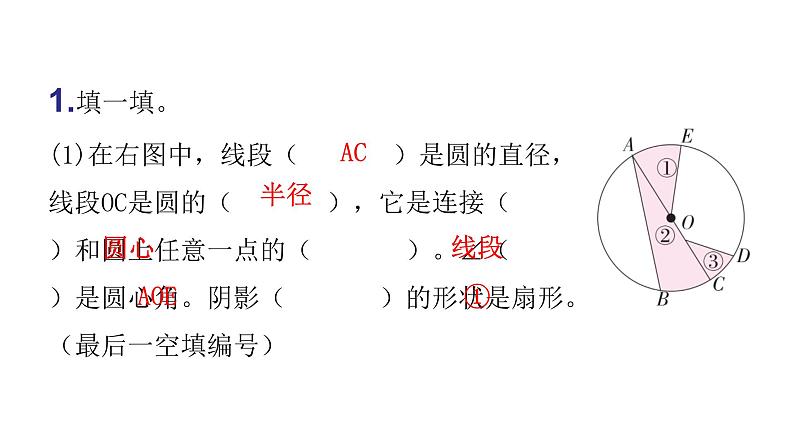 人教版小学六年级数学上册第五单元圆过关训练课件第2页