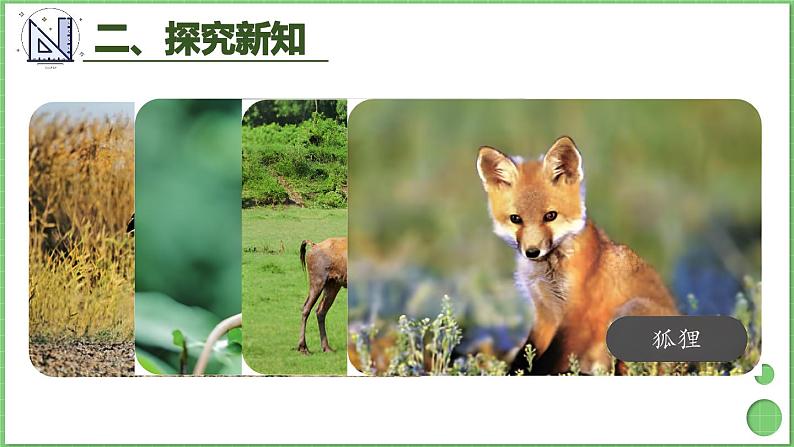 4.1 第1课时 三位数加三位数（1） 课件 人教版三年级上册数学03