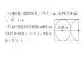 人教版小学六年级数学上册第五单元圆第3课时圆的周长（2）教学课件