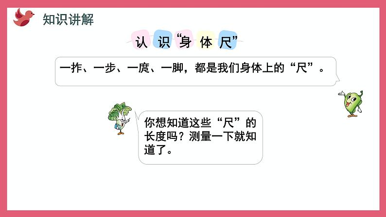 5.4 我们身体上的“尺”（课件）苏教版二年级上册数学03