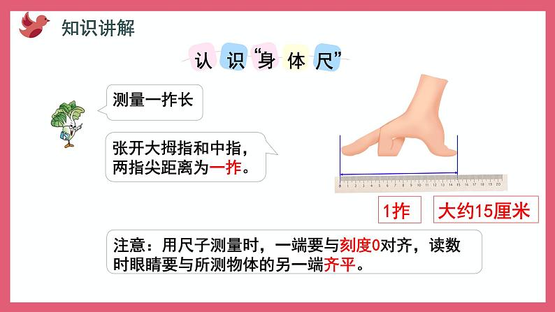 5.4 我们身体上的“尺”（课件）苏教版二年级上册数学04