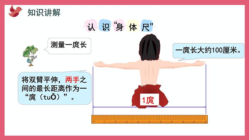 5.4 我们身体上的“尺”（课件）苏教版二年级上册数学06