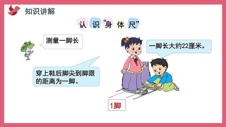 5.4 我们身体上的“尺”（课件）苏教版二年级上册数学07