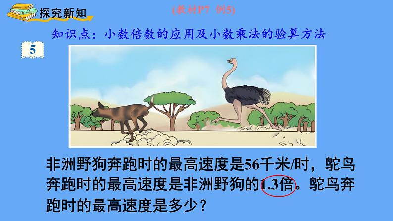 人教版数学五年级上册1.2 小数乘小数（3） 课件03