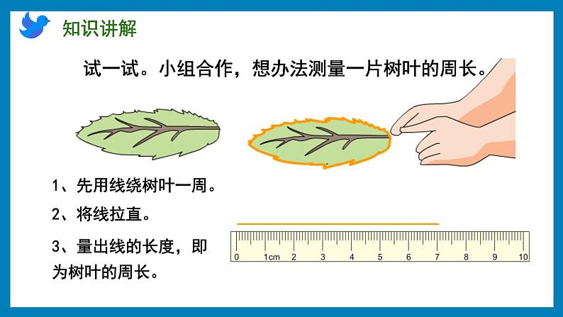 3.2 认识周长（课件）苏教版三年级上册数学第6页