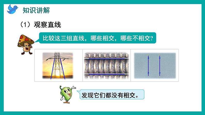 8.6 认识平行线（课件）苏教版四年级上册数学03