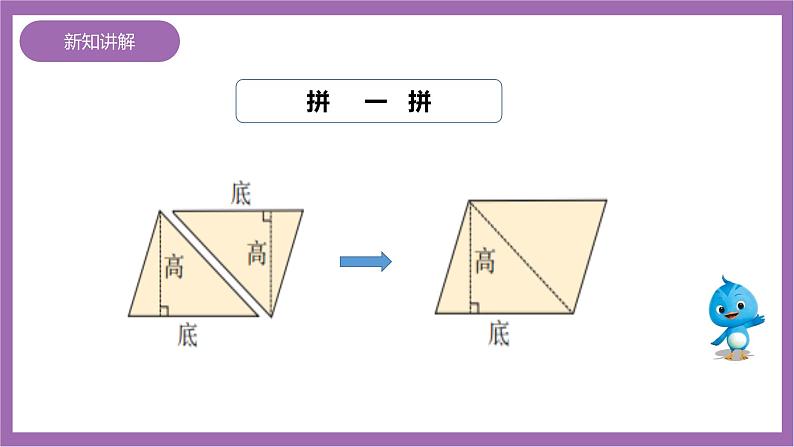 西师大版5上数学 5.3-5.4 三角形的面积 课件+教案+练习06