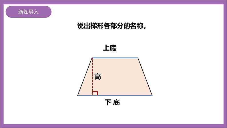 西师大版5上数学 5.5-5.6 梯形的面积 课件+教案+练习03
