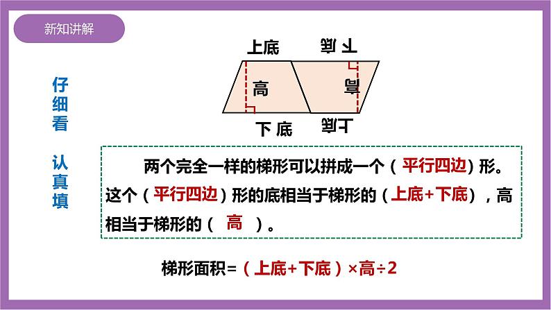 西师大版5上数学 5.5-5.6 梯形的面积 课件+教案+练习06