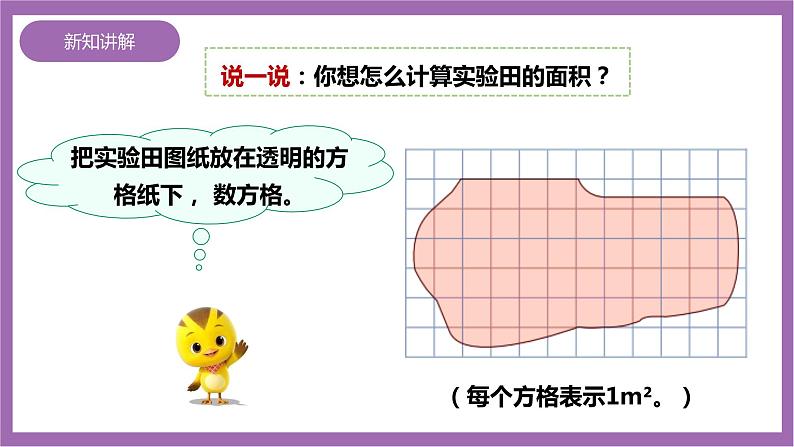 西师大版5上数学 5.7 不规则图形的面积 课件+教案+练习05