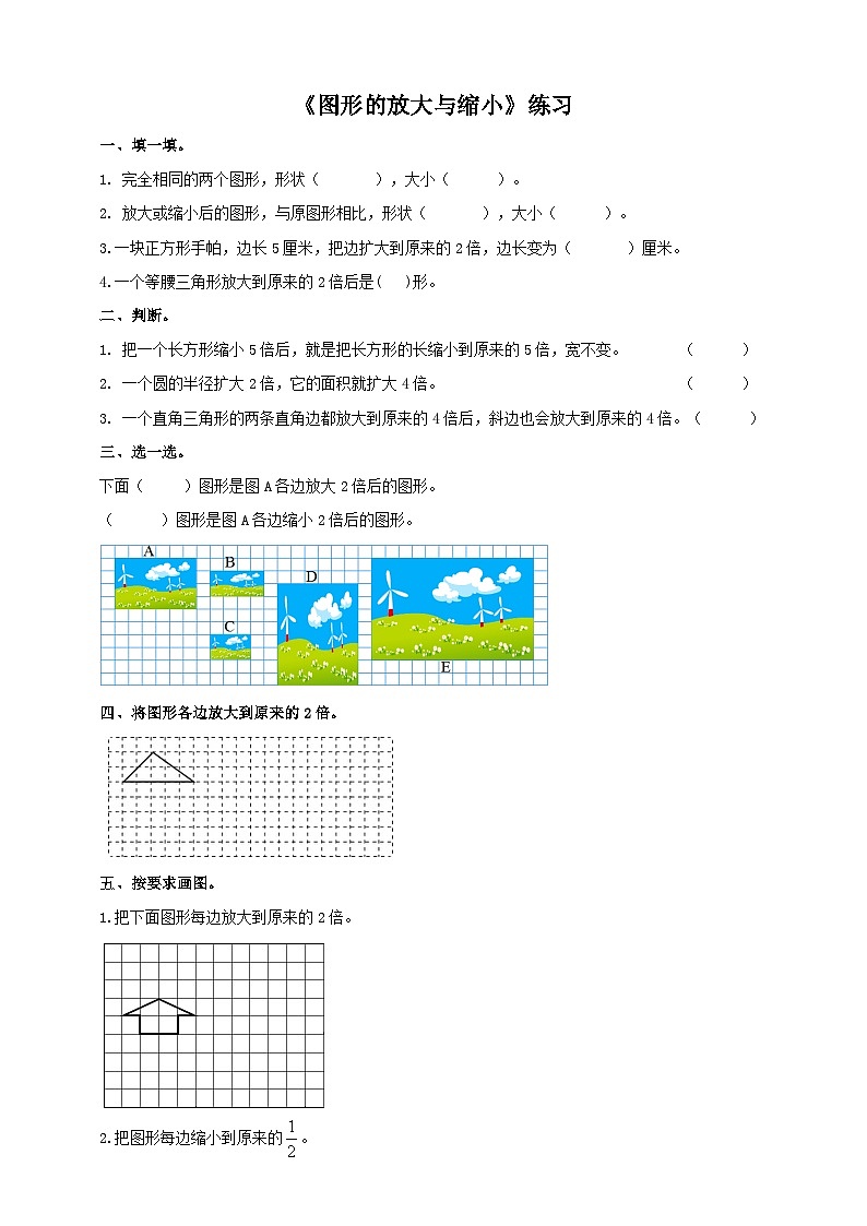西师大版6上数学 5.1 图形的放大与缩小 练习第1页