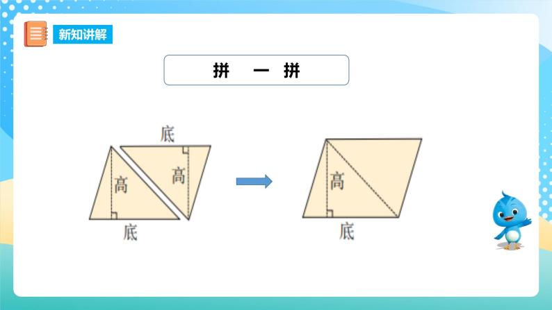 西师大版5上数学 5.3-5.4 三角形的面积 课件06