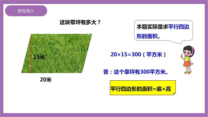 西师大版6上数学 2.6 圆的面积 1 课件03