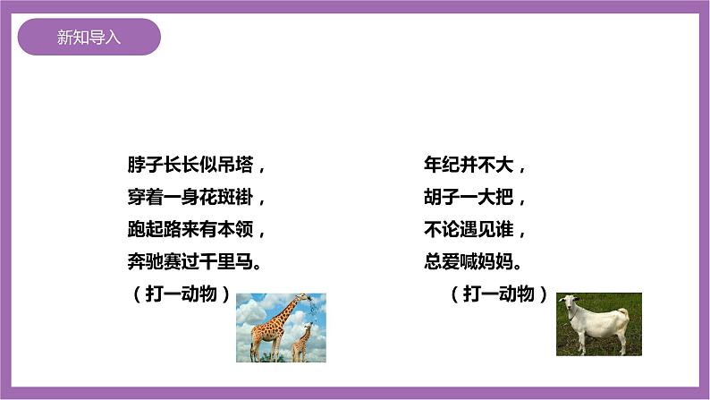 西师大版6上数学 4 比的意义和性质 1 课件02