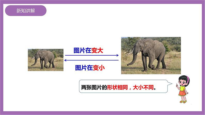 西师大版6上数学 5.1 图形的放大与缩小 课件07