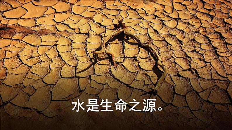 人教版数学六上《节约用水》课件PPT+教案07