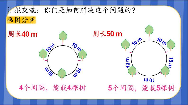 【同步备课】 第七单元  第3课时 植树问题（3）（课件) 五年级数学上册 人教版06