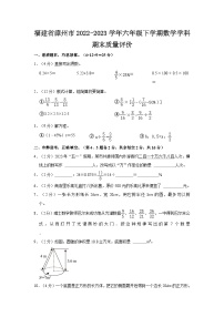 福建省漳州市2022-2023学年六年级下学期数学学科期末质量评价（文字版含答案解析）