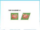 人教版数学五年级上册 6.1 平行四边形的面积 课件