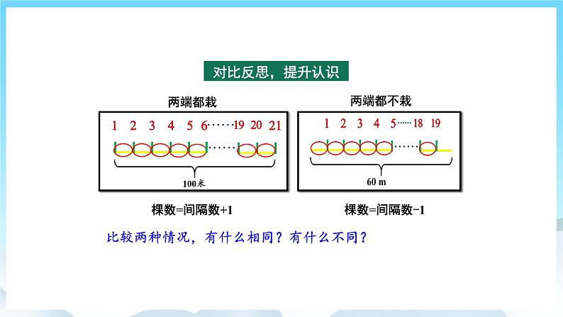 人教版数学五年级上册 7.2 植树问题 课件07