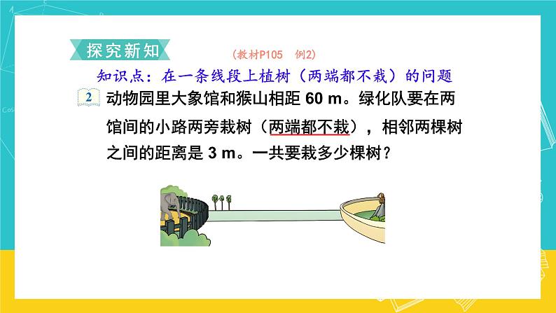 人教版数学五年级上册 7.2《植树问题》课件+教案03