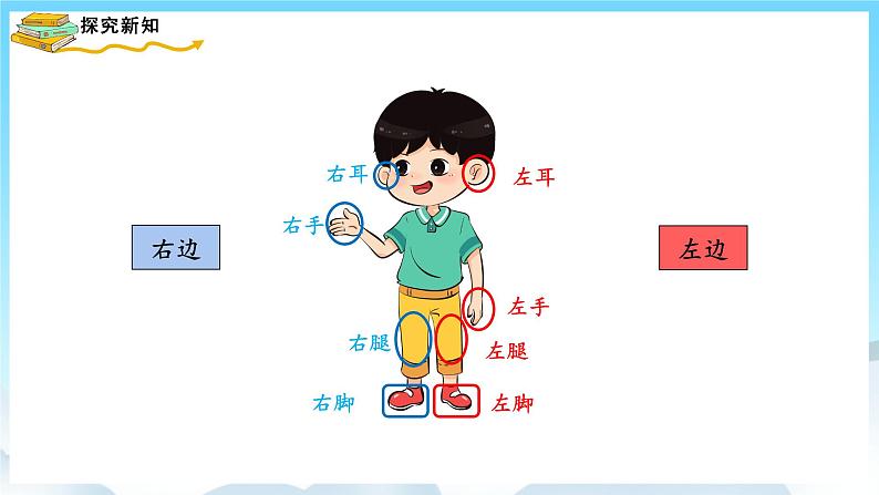 人教版数学一年级上册 2.2 左、右 课件+教案07