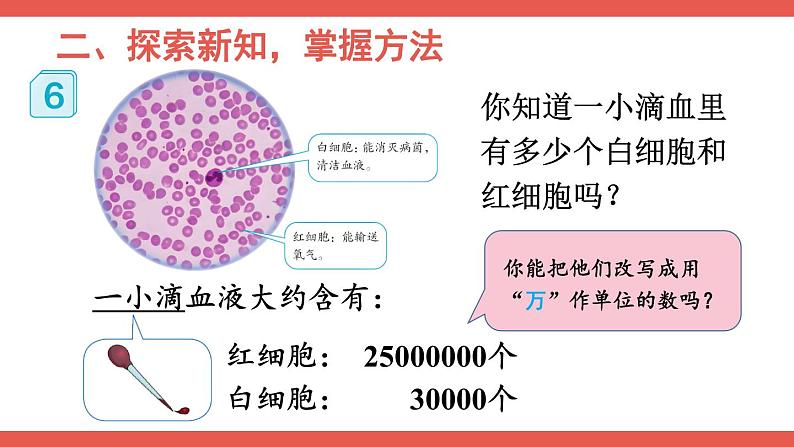 人教版小学数学4上 1《大数的认识》第5课时 将整万数改写成用“万”作单位的数 课件04