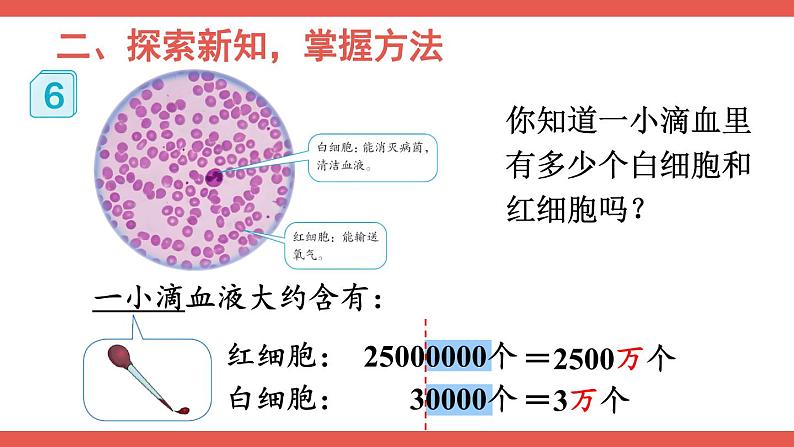 人教版小学数学4上 1《大数的认识》第5课时 将整万数改写成用“万”作单位的数 课件05