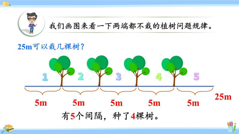 人教版小学数学5上 7《数学广角—植树问题》第2课时 两端都不栽的植树问题 课件06