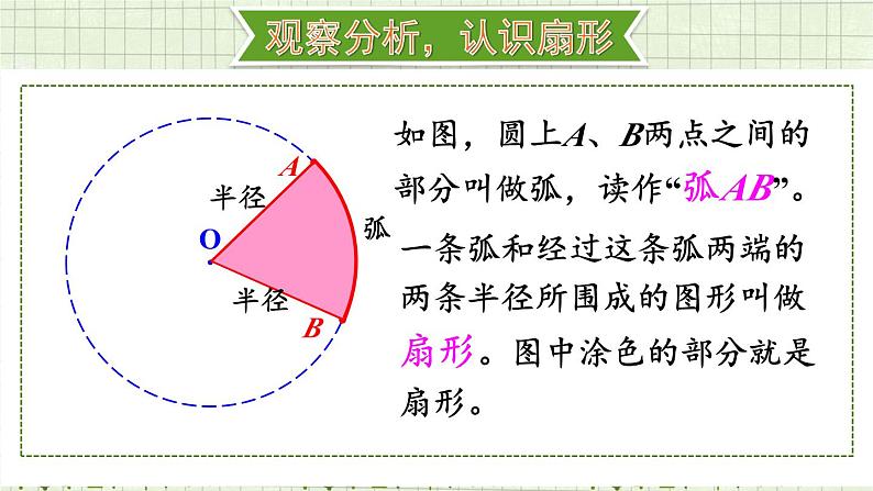 人教版小学数学6上 5《圆》4.扇形 课件04