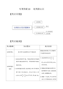 专项突破10-比例的认识及问题解决六年级下册小升初数学专项培优卷（含解析）