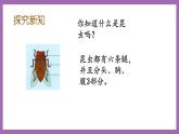 冀教版數(shù)學(xué)二年級上冊 3.6《6的乘法口訣》課件