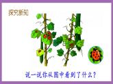 冀教版数学二年级上册 7.1《7的乘法口诀》课件