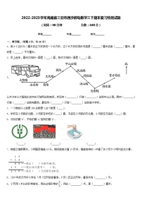 2022-2023学年海南省三亚市西沙群岛数学三下期末复习检测试题含答案