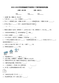 2022-2023学年青海省西宁市城中区三下数学期末联考试题含答案