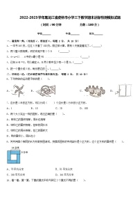 2022-2023学年黑龙江省虎林市小学三下数学期末达标检测模拟试题含答案