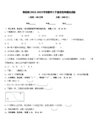 慈利县2022-2023学年数学三下期末统考模拟试题含答案