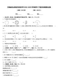 甘肃省高台县城关初级中学2022-2023学年数学三下期末经典模拟试题含答案